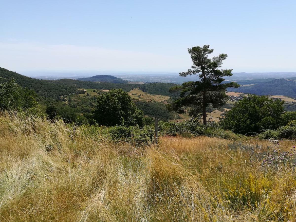 Chez Mary Διαμέρισμα Vanosc Εξωτερικό φωτογραφία