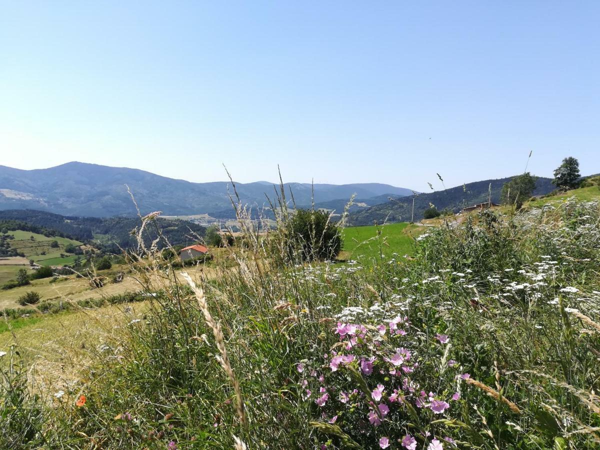 Chez Mary Διαμέρισμα Vanosc Εξωτερικό φωτογραφία